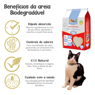 areia biodegradavel great pets