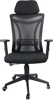 cadeira presidente duoffice du375