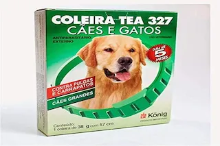 coleira konig tea grande