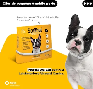 coleira scalibor 48cm