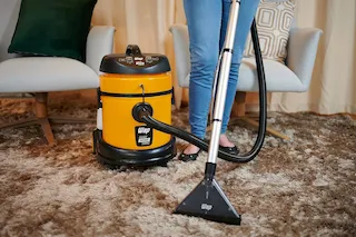 extratora sujeira wap home