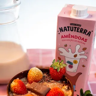 leite vegetal natuterra 1l