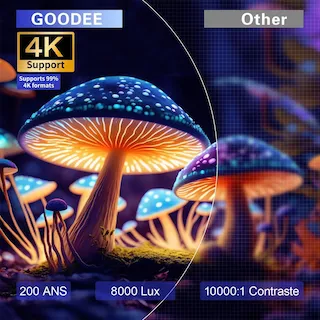 mini projetor sensibo ss0324001