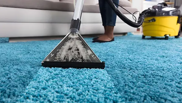 top melhores extratoras